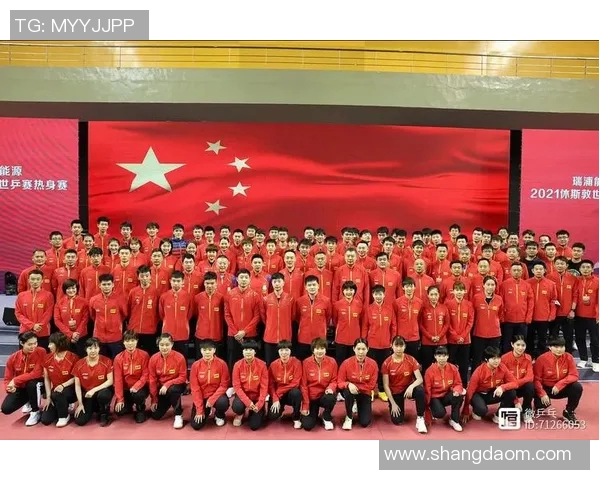 深圳乒乓球队在阵地战中的表现分析与得失总结