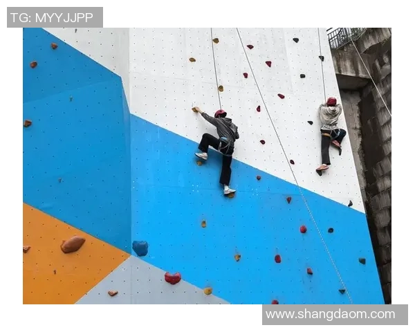 广州攀岩队心理素质深度对比与竞技表现的关系探讨 广州攀岩队心理素质深度对比与竞技表现的关系探讨