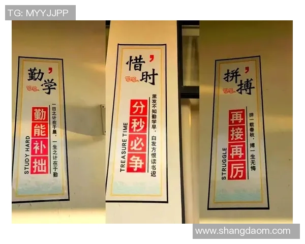 北京乒乓球队转型纪实：从辉煌到重生的奋斗之路与未来展望