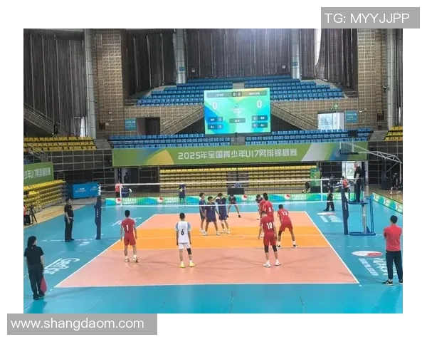 上海排球队技术实力强劲荣登全国排球技术排行榜第七名