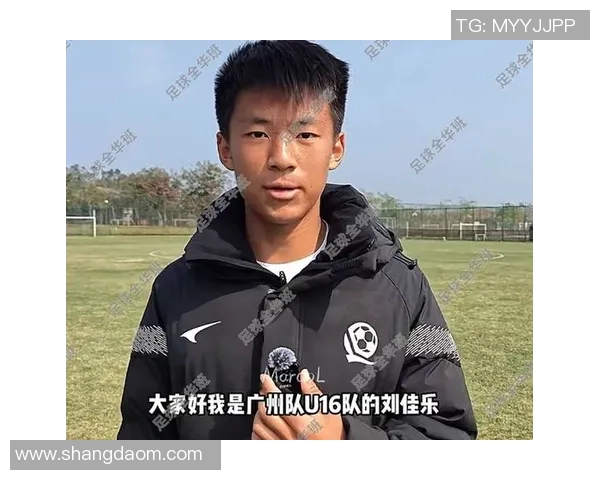 广州足球队的运营策略与成败分析及未来发展方向探讨