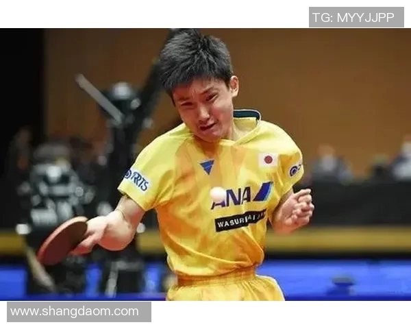 成都乒乓球队比赛经验分析与表现评估的深度研究与探讨