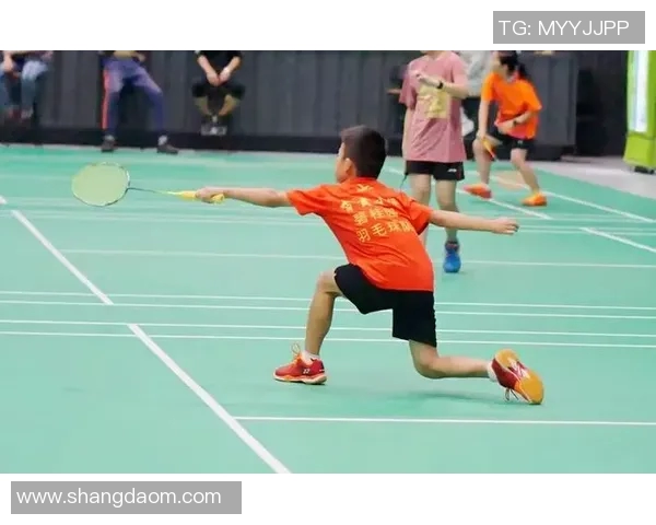 上海羽毛球队在联赛中的心理素质分析与表现评估