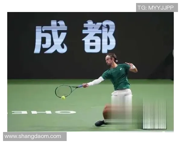 成都网球队的耐力训练揭秘：网球运动背后的坚持与激情