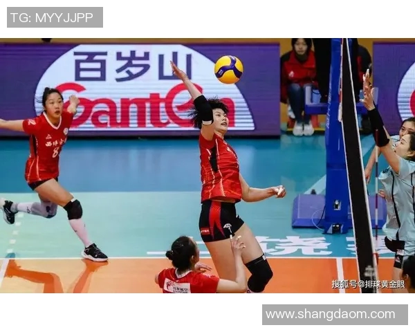 杭州排球队技术实力强劲荣登全国排球技术排行榜第九名