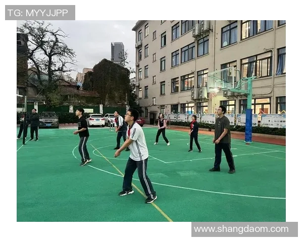 上海排球队的奋斗历程与荣耀瞬间全景纪实