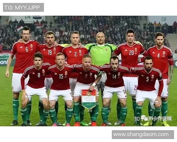 北京足球队近期状态分析与发展前景探讨