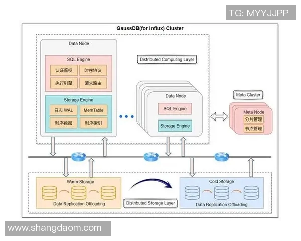 杭州排球队节奏表现数据分析与战术优化探讨