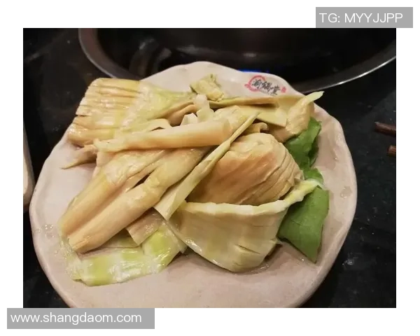 李秀英的篮球人生：从梦想起步到职业生涯的精彩旅程