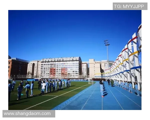 深入分析北京乒乓球队阵地战策略及其在比赛中的应用与优势