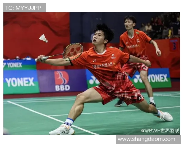 深圳羽毛球队的崛起与发展探秘聚焦羽毛球的力量与激情