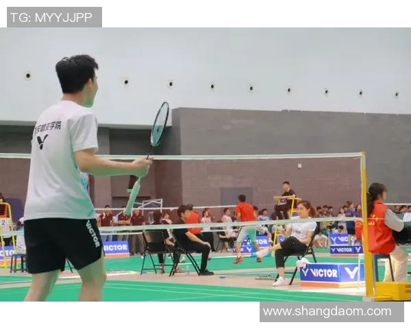 西安羽毛球队在全国羽毛球配合排行榜中荣获第八名的佳绩分析