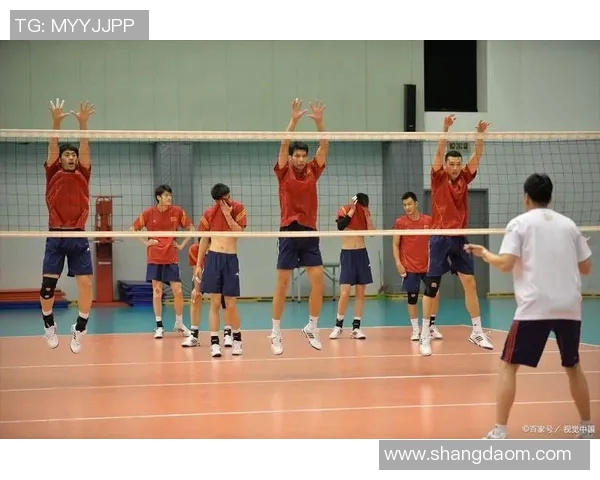 深圳排球队展现实力与团队精神的精彩表现分析 深圳排球队展现实力与团队精神的精彩表现分析