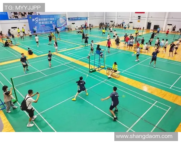 羽毛球耐力排行榜揭晓深圳羽毛球队荣获第七名佳绩 羽毛球耐力排行榜揭晓深圳羽毛球队荣获第七名佳绩