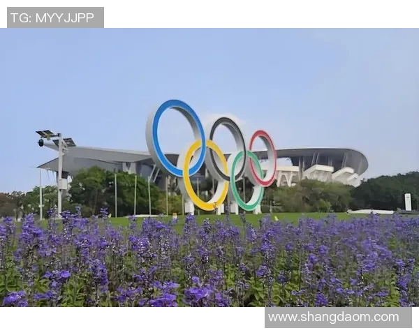 西安网球队耐力训练揭秘助力球员在赛场上更持久更强大 西安网球队耐力训练揭秘助力球员在赛场上更持久更强大