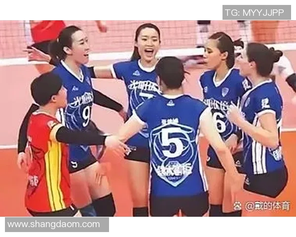 上海排球队实力强劲荣登全国排球实力排行榜第六名 上海排球队实力强劲荣登全国排球实力排行榜第六名