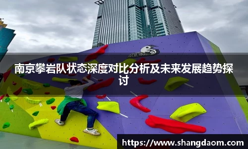 南京攀岩队状态深度对比分析及未来发展趋势探讨