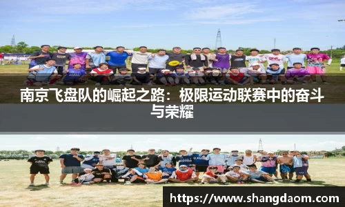 南京飞盘队的崛起之路：极限运动联赛中的奋斗与荣耀