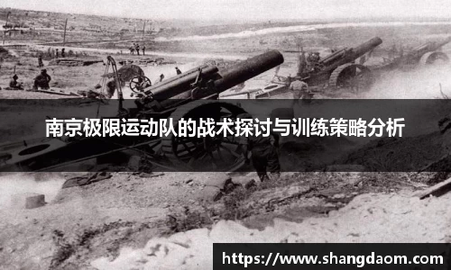 南京极限运动队的战术探讨与训练策略分析