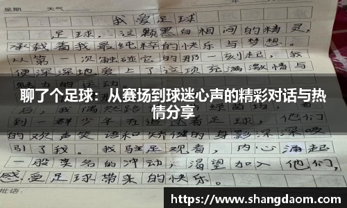 聊了个足球：从赛场到球迷心声的精彩对话与热情分享